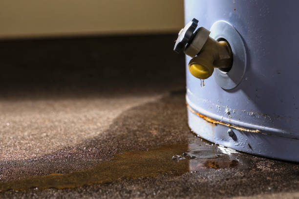 Best Flood restoration services  in Olivarez, TX