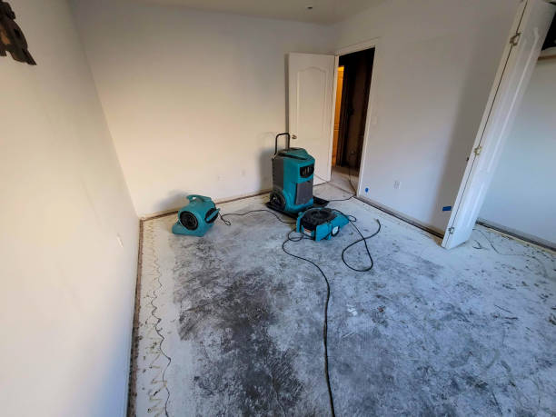 Best Basement water damage restoration  in Olivarez, TX