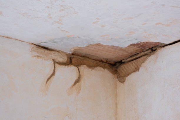 Water damage restoration experts in Olivarez, TX