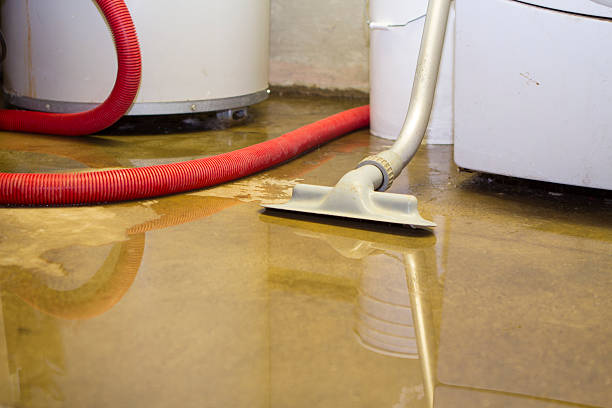 Best Mold removal after water damage  in Olivarez, TX