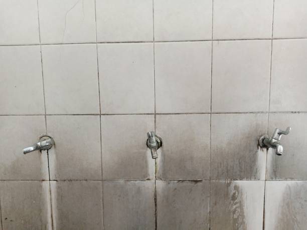 Best Water damage cleanup near me  in Olivarez, TX