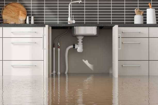 Best Water damage contractors near me  in Olivarez, TX