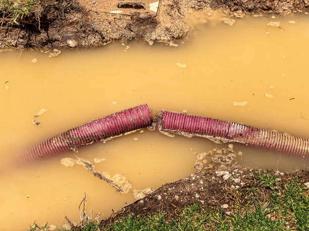 Best Water damage restoration cost  in Olivarez, TX
