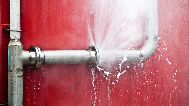 Best Water damage restoration near me  in Olivarez, TX